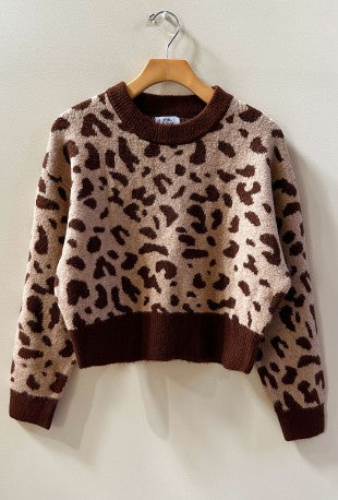 Spotted in the Wild Sweater