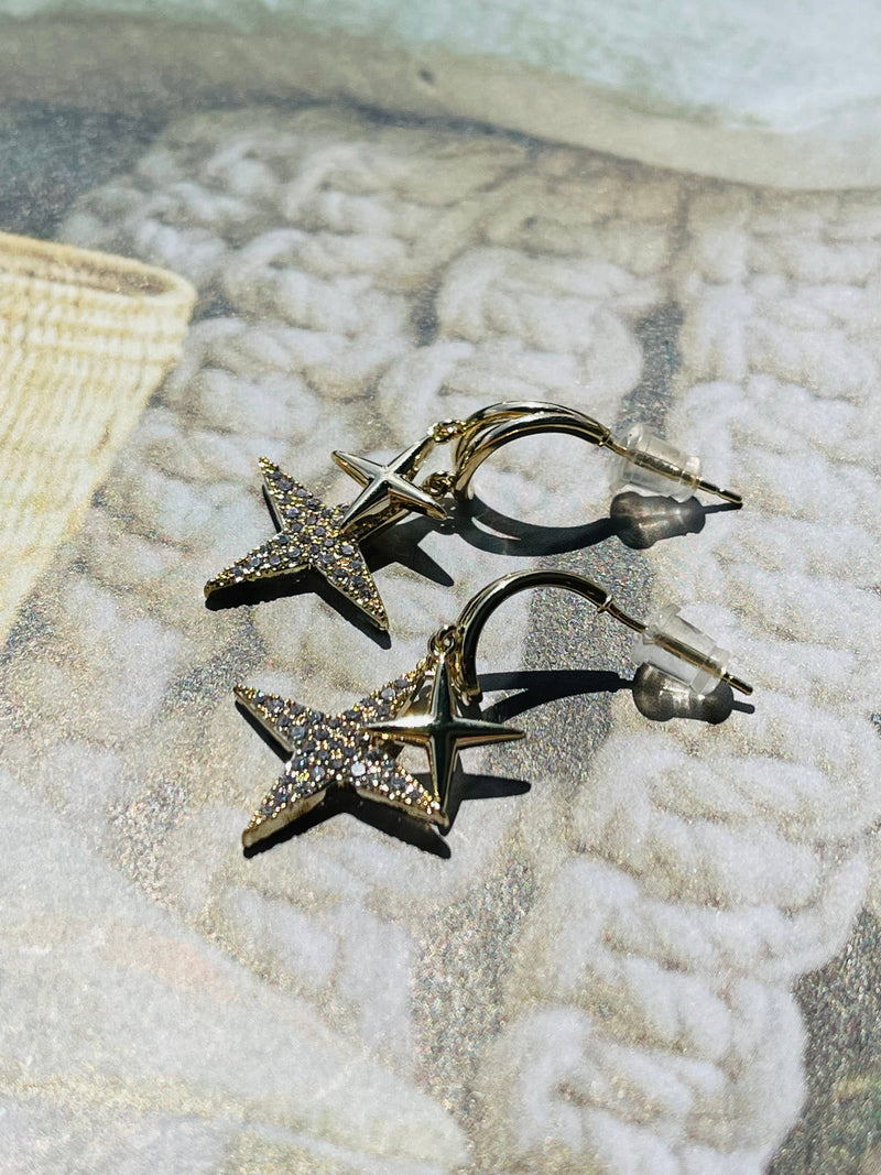 True North Star Earrings